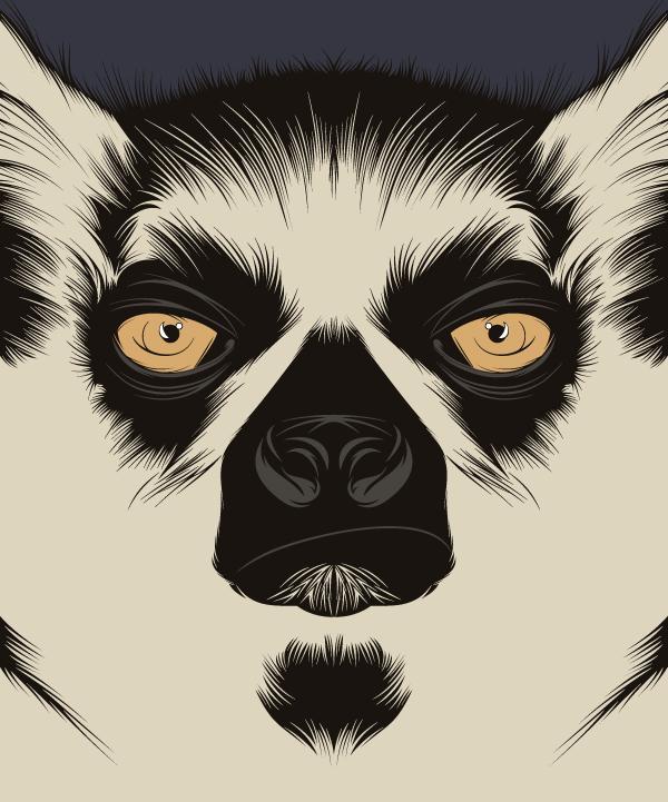 Vector illustrations by Alejandro Garcia