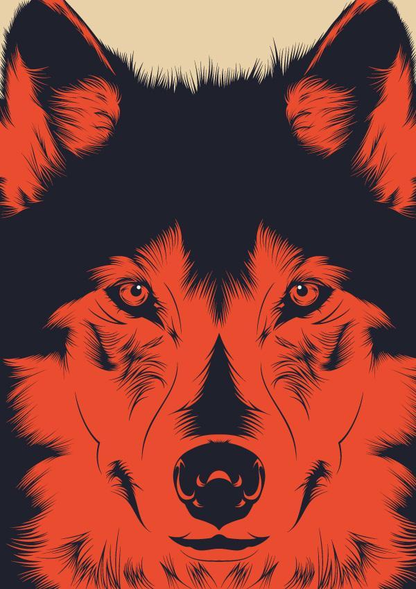 Vector illustrations by Alejandro Garcia