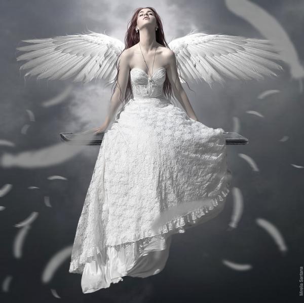 Digital Art by Mirella Santana