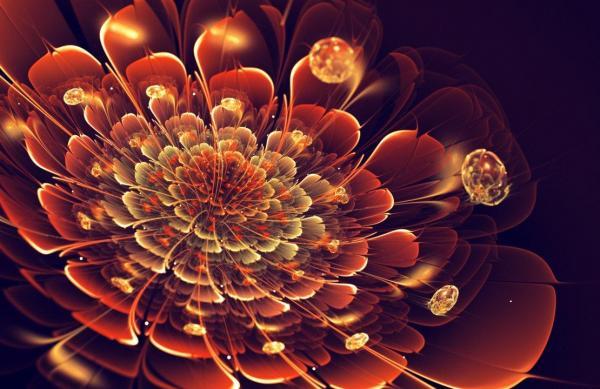 Digital Art by Silvia GufoZucca Cordedda