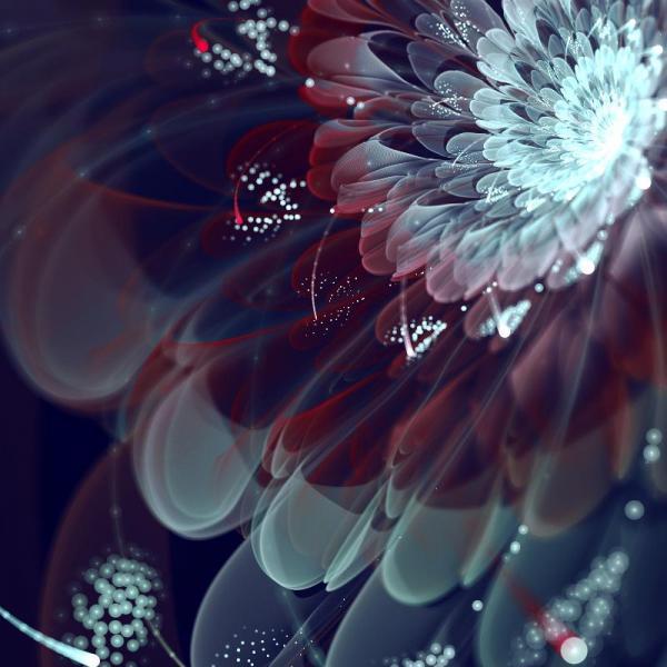 Digital Art by Silvia GufoZucca Cordedda