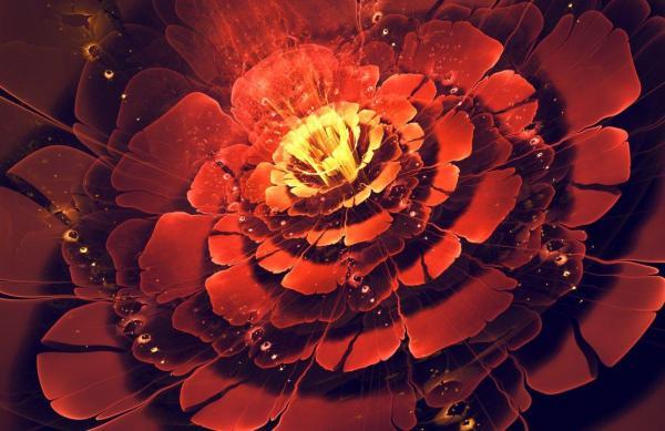 Digital Art by Silvia GufoZucca Cordedda