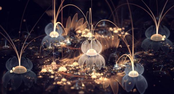 Digital Art by Silvia GufoZucca Cordedda