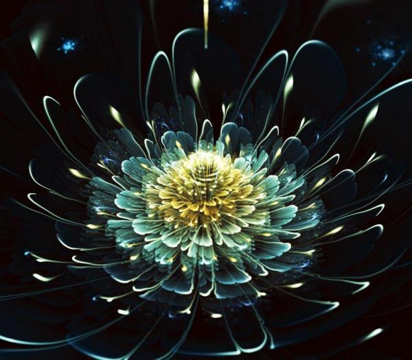 Digital Art by Silvia GufoZucca Cordedda