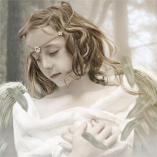 Photo Manipulation by choceffect