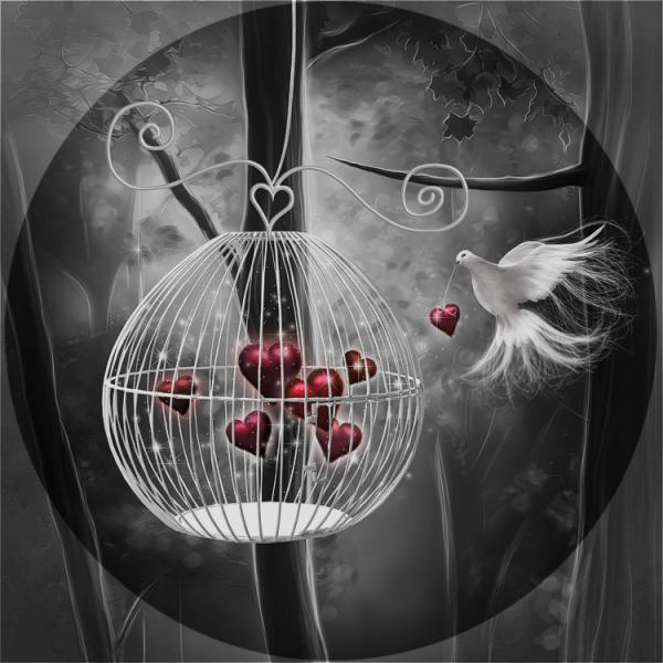 Photo Manipulation by choceffect