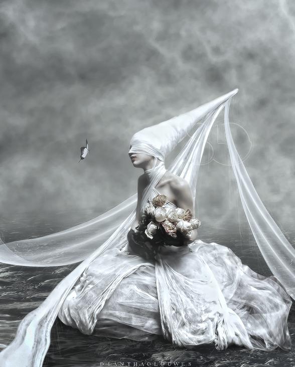 Photo Manipulations by Diantha Louwes