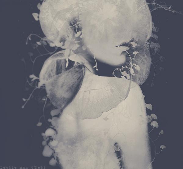 Surreal Digital Art by Leslie Ann O'Dell
