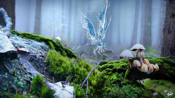 Abstract Digital Art by B-O-K-E