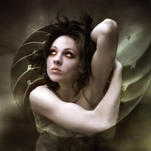 Digital Art by Alexandra V Bach