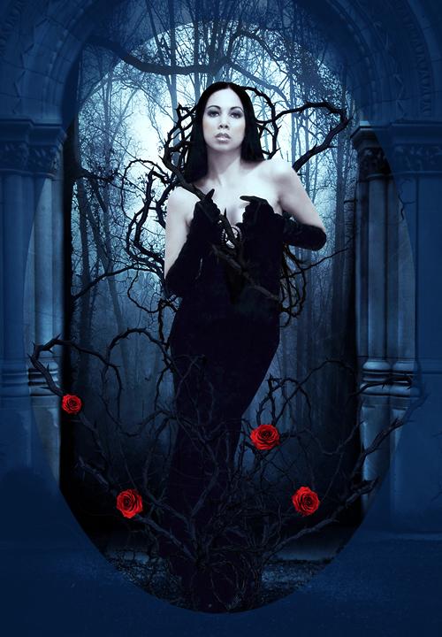Digital Art by Alexandra V Bach