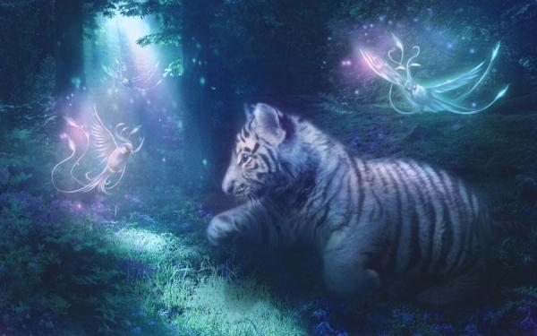 Fairy Kitty by Maria Lucia