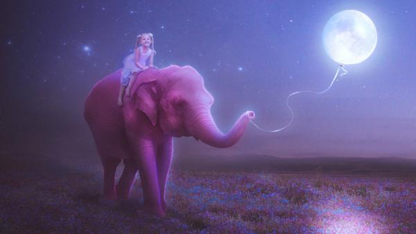 Fairy Kitty by Maria Lucia