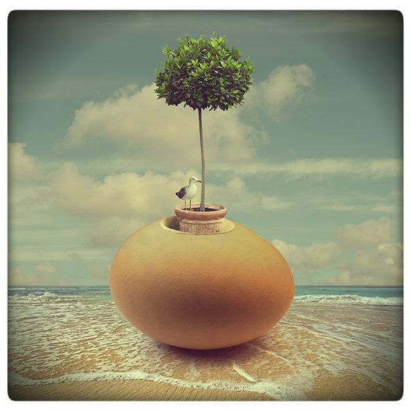Photo Manipulations by Akşam Gunesi