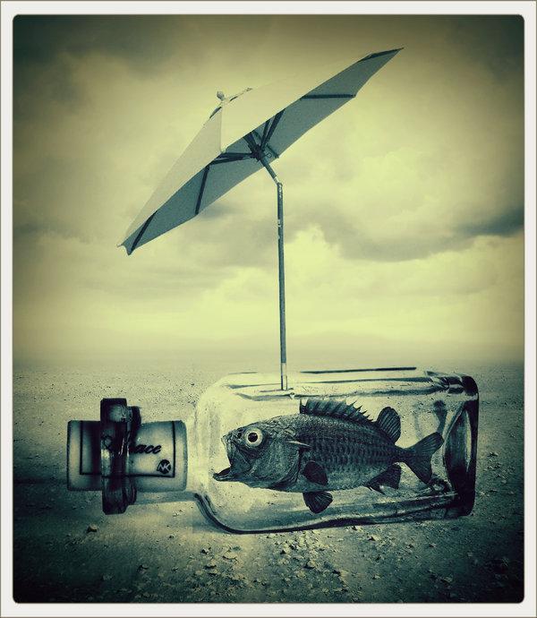 Photo Manipulations by Akşam Gunesi
