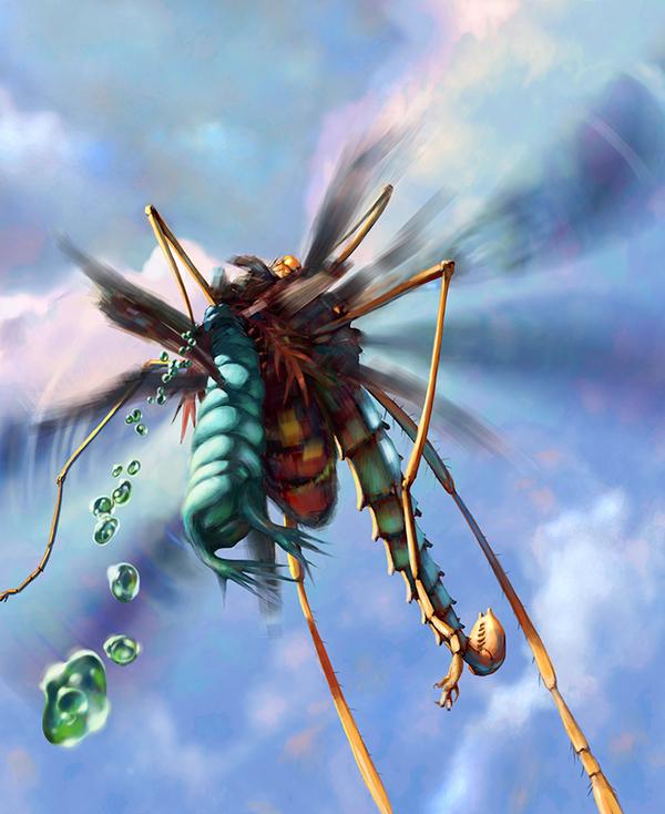 Illustrations of Salsa Invertebraxa