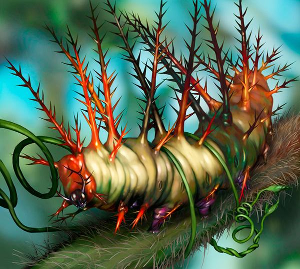 Illustrations of Salsa Invertebraxa
