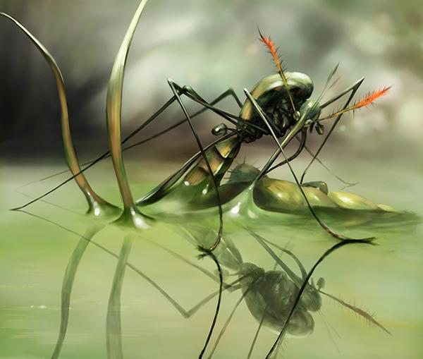 Illustrations of Salsa Invertebraxa
