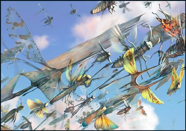 Illustrations of Salsa Invertebraxa