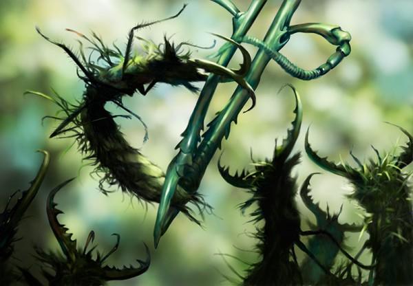 Illustrations of Salsa Invertebraxa