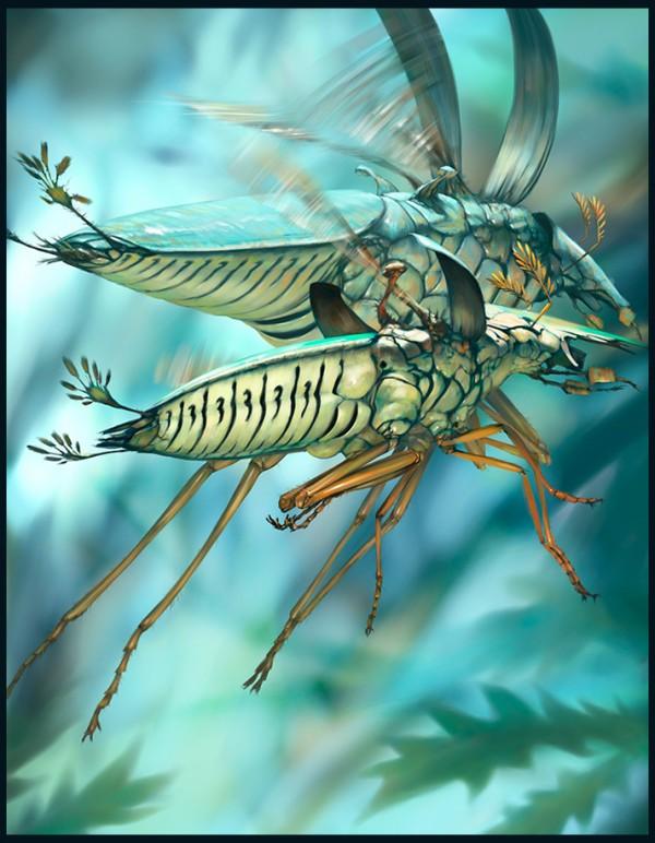 Illustrations of Salsa Invertebraxa