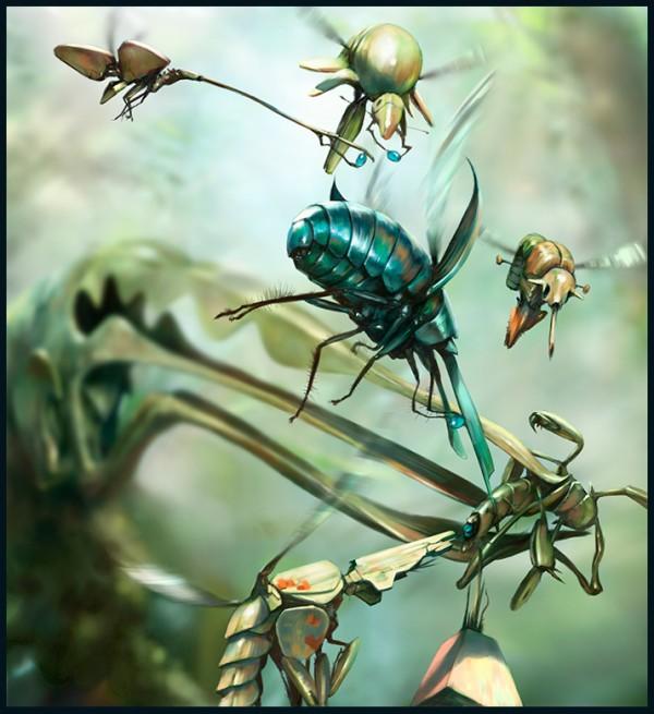 Illustrations of Salsa Invertebraxa
