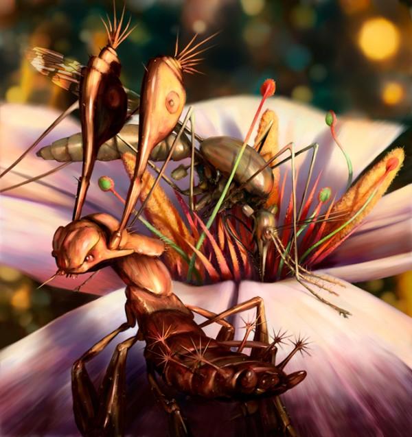 Illustrations of Salsa Invertebraxa