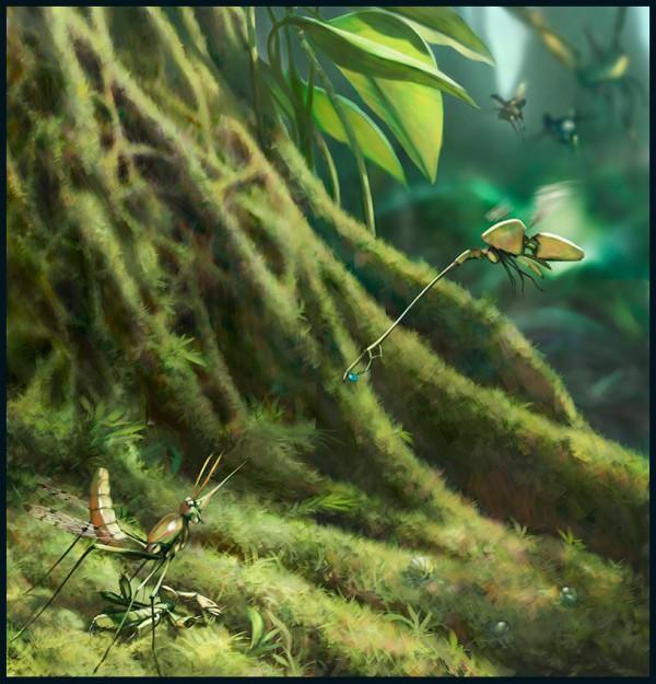 Illustrations of Salsa Invertebraxa
