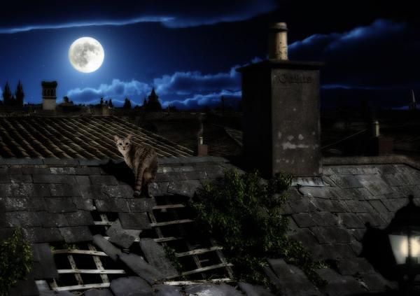Digital Art by Luigi Gallo