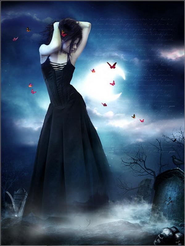 Photo Manipulations by Liliana Sanches Davis