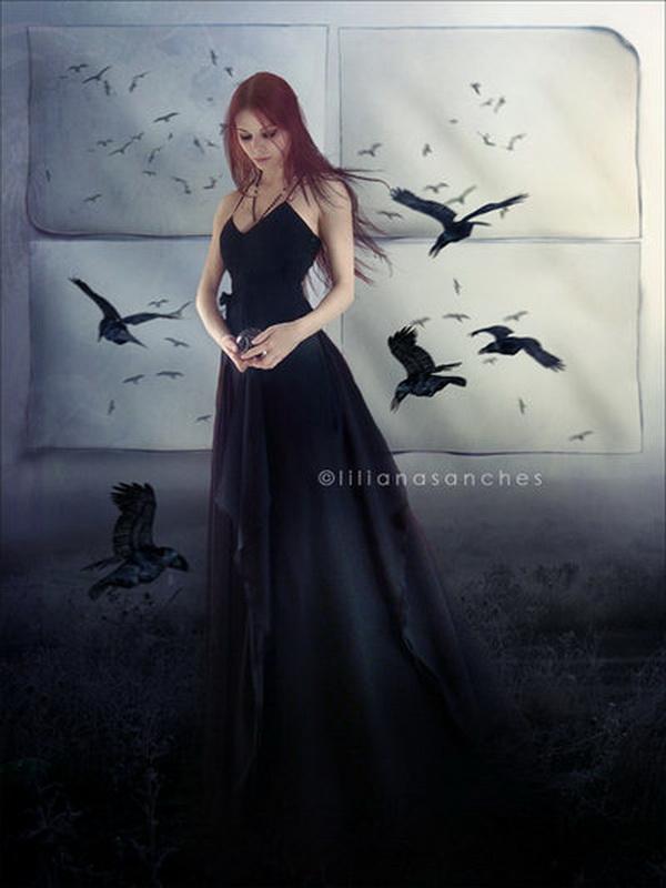 Photo Manipulations by Liliana Sanches Davis