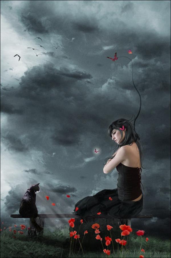 Photo Manipulations by Liliana Sanches Davis
