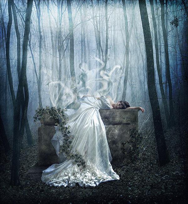 Photo Manipulations by Liliana Sanches Davis
