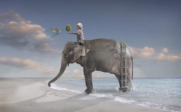 Photo Manipulations by Sulaiman almawash