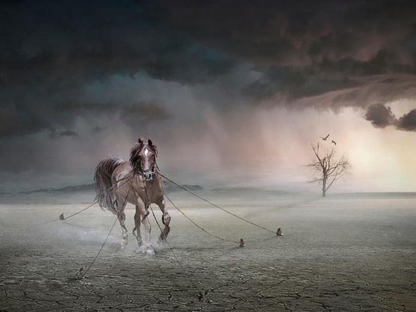 Photo Manipulations by Sulaiman almawash