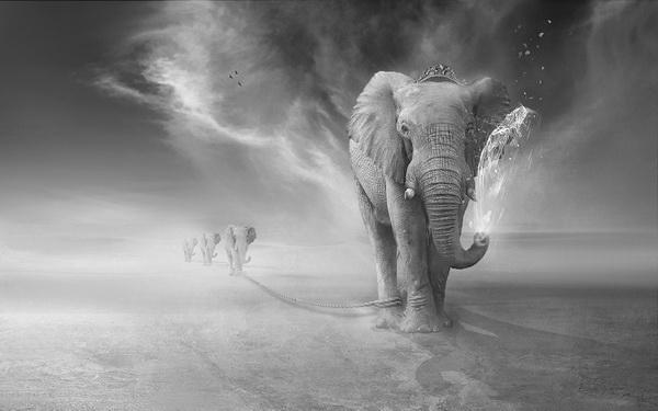 Photo Manipulations by Sulaiman almawash
