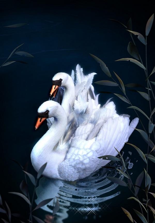 3D Digital Paintings by Baolong Zhang
