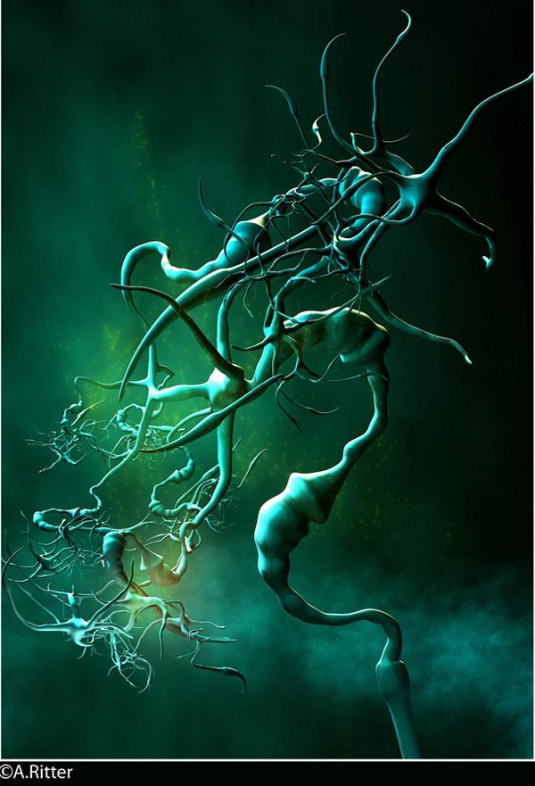 3D Artworks by Axel Ritter