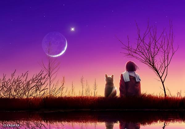 Starry Tales by Kagaya