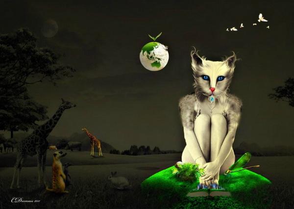 Digital Art by Carina Dumais