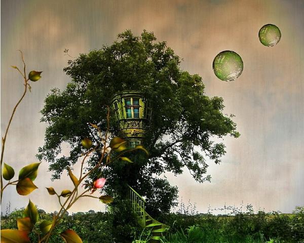 Digital Art by Carina Dumais
