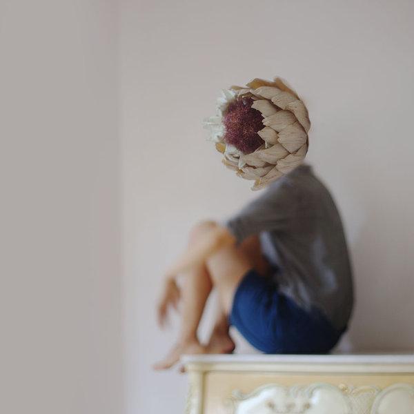 Photo Manipulations by Daphne Ng