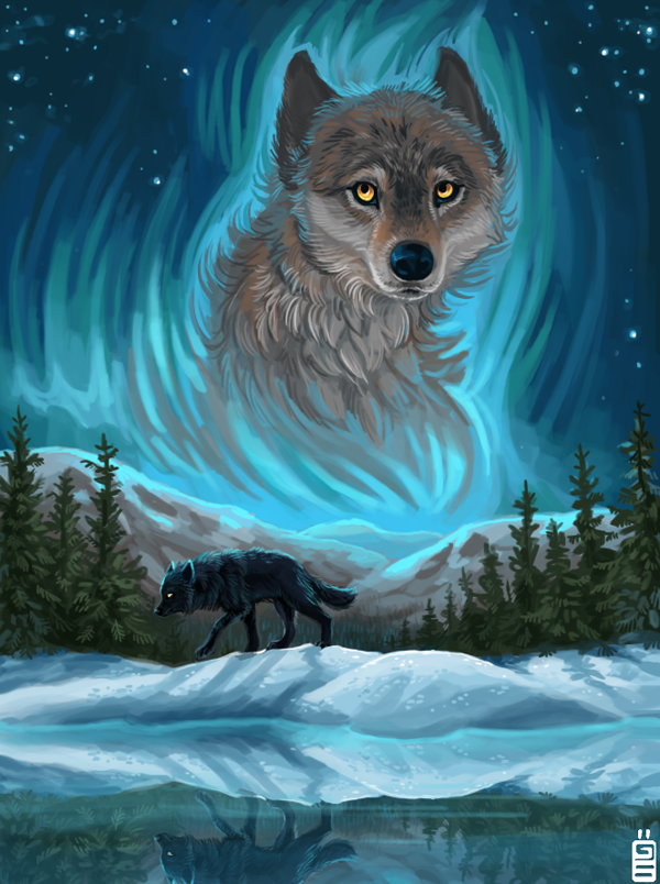 Animal Illustrations by Tina
