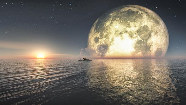 Digital Art by Tan Yong Lin
