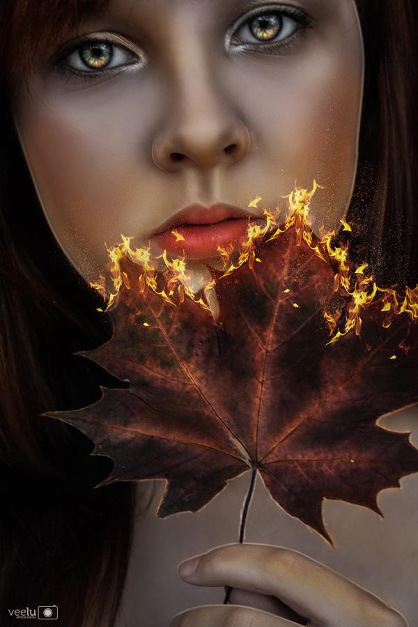 Digital Art by Vera Lucia