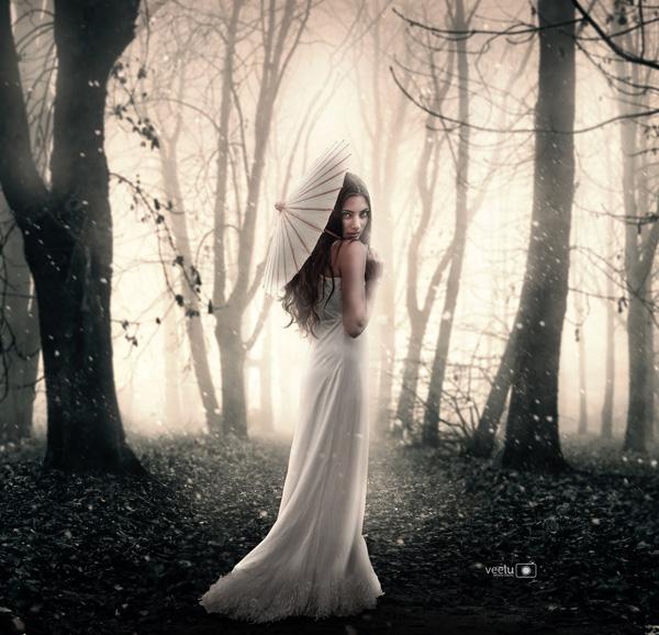 Digital Art by Vera Lucia