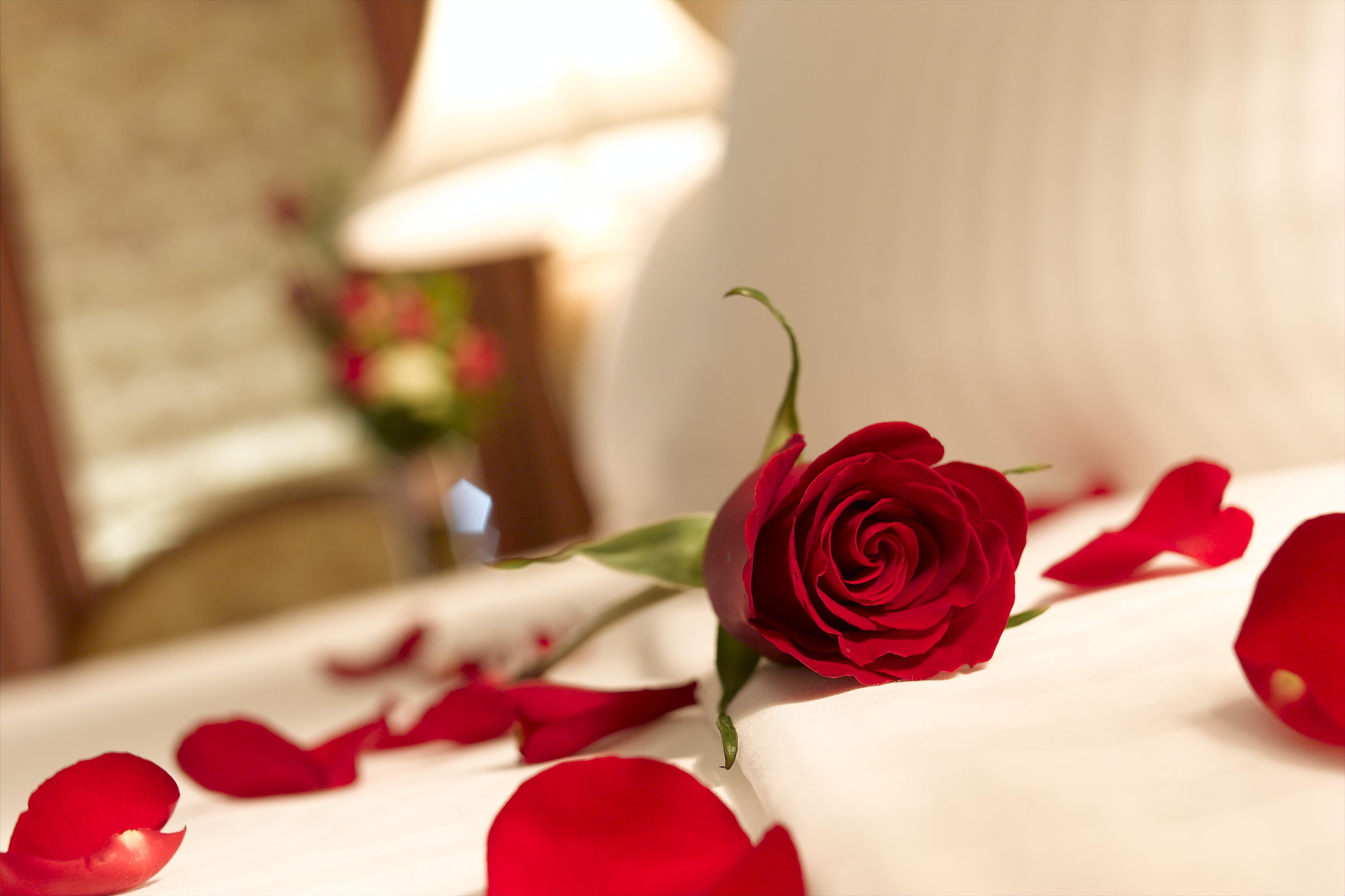 10 Valentine's Day ideas