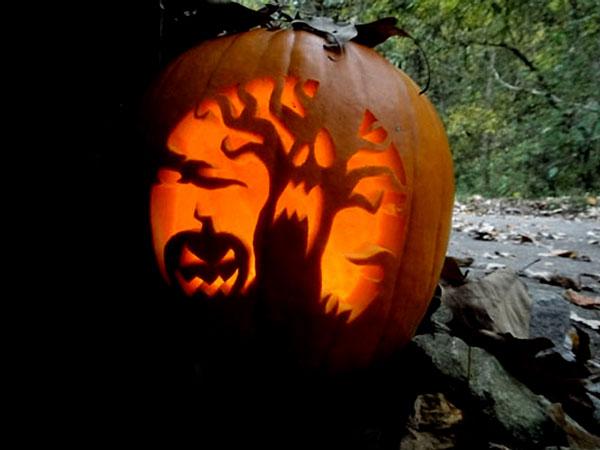 50+ Creative Pumpkin Carving Ideas