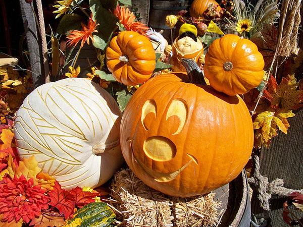 50+ Creative Pumpkin Carving Ideas