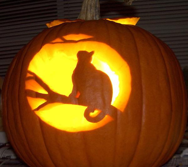50+ Creative Pumpkin Carving Ideas